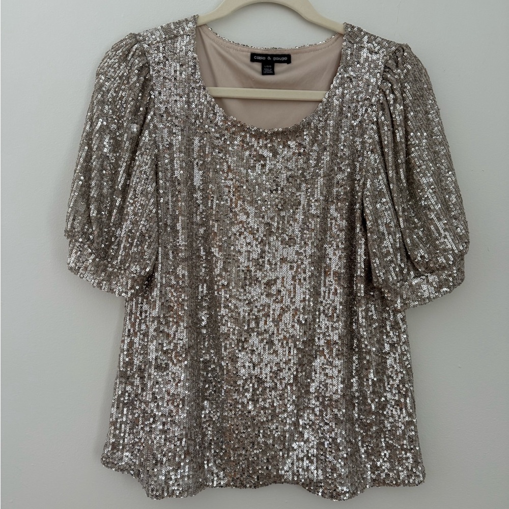 Zara Silver Sequin Top